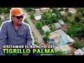 🇲🇽el rancho del TIGRILLO PALMA🌴