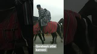 Qorabayir otlar karvoni 1-kun