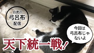 【三国志大戦】天下統一戦配信２日目、老体にムチ打ちながらマラソンしてます🐈【LIVE配信.VOL41】