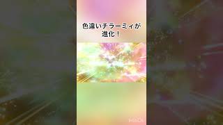 【ゼロの秘宝/藍の円盤】　色違いチラーミィが色違いチラチーノに進化！かっこ可愛い🐭💕　【ポケモンSV/PokemonSV】