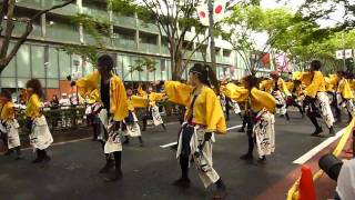 早稲田大学踊り侍２０１０翔舞、原宿スーパーよさこい　表参道演舞