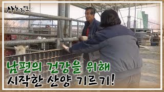 남편의 건강을 위해 시작한 산양 기르기! 이제는 가족에게 없어서는 안 될 일 MBN 221202 방송