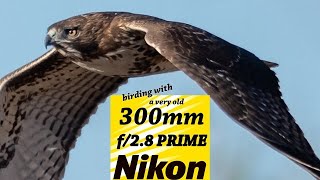 Birding with Nikon D850 and D800 and my old Nikon 300 mm prime F/2.8 - this is truly a magical lens.