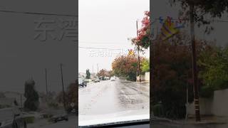 California Bay Area 东湾大雨 11月11日 贵雨🌧️✌️ 有半年没见雨了吧