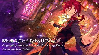 (FLASH/GLITCH WARNING!!) What A Kind Echo U Pass ver. Aria Uruha [歌ってみた]