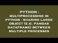 PYTHON : multiprocessing in python - sharing large object (e.g. pandas dataframe) between multiple p