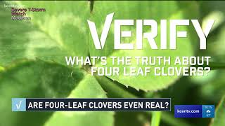 VERIFY: Are four-leaf clovers real?