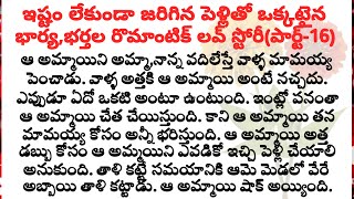 ఇష్టం లేకుండా జరిగిన పెళ్లితో ఒక్కటైన భార్య,భర్తల రొమాంటిక్ లవ్ స్టోరీ(పార్ట్-16)|family stories