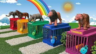 Baby Animals Meet Green Aliens - Rhino, Horse, Elephant, Tiger and Lion