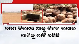 Tata Power is Blocking Potato Cultivation |ଆଳୁ ଚାଷରେ ବାଧକ ସାଜିଛି ଟାଟା ପାୱାର, କୌଣସି ନୋଟିସ ନଦେଇ କାଟି..