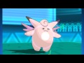 best clefable sweep