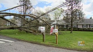 Powerful Storms Leave Damage Behind In Maryland