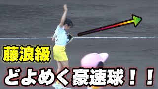 【甲子園がどよめく程の豪速球！！テニス 加藤未唯さんの始球式！！】阪神対横浜