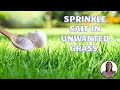 how to kill unwanted grass