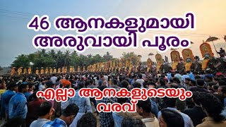 46 ആനകളുടെ വരവ് | Aruvayi Pooram 2025 #aruvayipooram #aanaperuma #aana