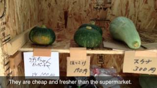 なんと無人なのだ！田舎の野菜販売所　Vegetable Store has No Salesclerk in Japan