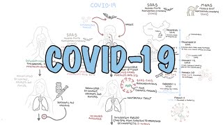 **COVID-19**  a visual summary of the new coronavirus pandemic