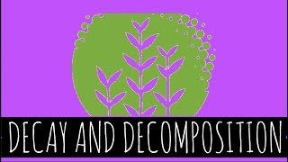 Decay and Decomposition - How Does Decay and Decomposition Work? - GCSE Biology