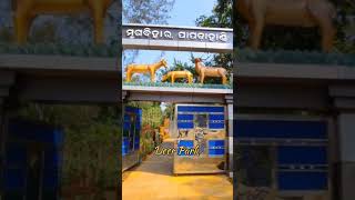 Top 5 Tourists Places In Nabarangpur.