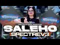 DJ SALEHO X MELODY SPECTRE - VIRAL TIKTOK NEW STYLE MIDLE BALAP RACING SALEHO - ARMUSIC OFFICIAL