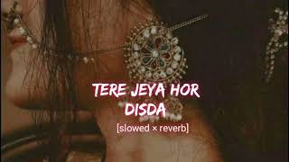 Tere Jeya Hor Disda - Madhur Sharma | Kiven Mukhde Ton Nazran Hatawan [Slowed × Reverb] Lofi - Music