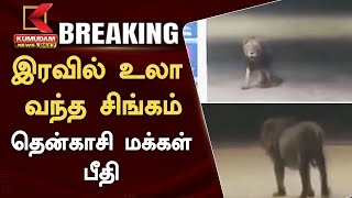 #BREAKING | Lion Roaming at Night in Tenkasi: இரவில் உலா வந்த சிங்கம் - தென்காசி மக்கள் பீதி | Viral