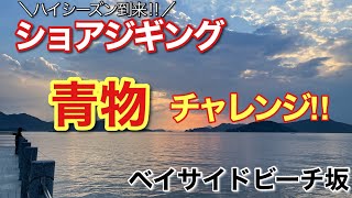 【広島県　ベイサイドビーチ坂】今キてる！？青物チャレンジ！！思わぬ大物が！！🎣