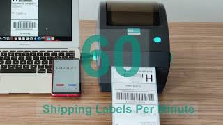 HotLabel S8 Thermal Label Printer