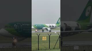 Rare sight of the aer lingus Ireland rugby team livery #airline #foryou #viralvideo #airport #plane