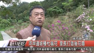 1060315觀天下新聞HD07 瑞芳區河岸邊坡種杜鵑花 里長打造後花園