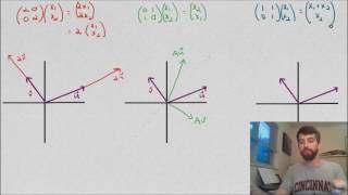 Three examples of Matrix Transformations