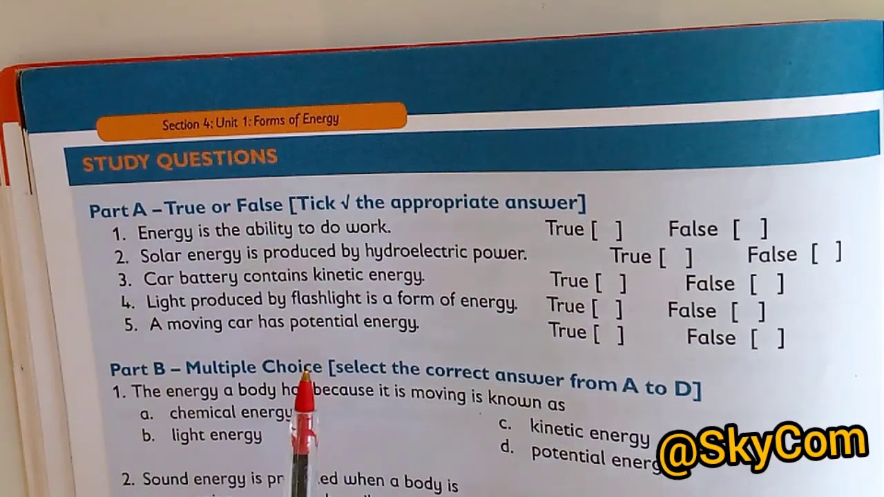 PRIMARY 5 SCIENCE - YouTube