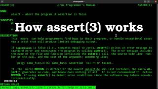 How to use assertions in C/C++ programs