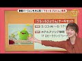 名古屋の大人気スイーツ「ぴよりん」静岡色に染まる　静岡版「うちっちぴよりん」誕生のワケ