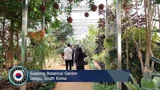 AFN Daegu - Sights \u0026 Sounds - Suseong Botanical Garden