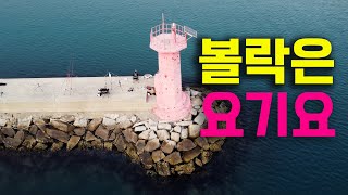 겨울철 최고의👍 생선구이를 먹을 수 있는 동네 방파제🎣 [골병낚시]