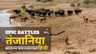 Epic Battles, तंजानिया [2023] हिन्दी डॉक्यूमेंट्री | Wildlife documentary in Hin