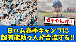 【朗報】日ハム春季キャンプに有能助っ人が合流する!!!!!　【プロ野球反応集】【2chスレ】【5chスレ】