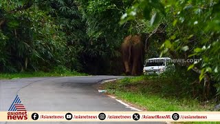 അതിരപ്പിള്ളിയിൽ കാറിന് നേരെ പാഞ്ഞടുത്ത് കാട്ടാന