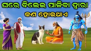 ଭଗବାନ ଶିବ କହିଛନ୍ତି ଘରେ ବିଲେଇ ପାଳିବା ଦ୍ଵାରା କଣ ହୋଇଥାଏ | #shiv #mahadev