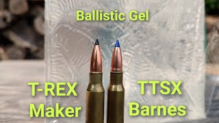 308 T-REX Maker Vs TTSX Barnes Into Ballistic Gel.