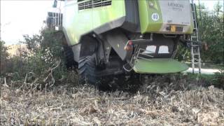 CLAAS In Campo - LEXION 760 TT Manassero