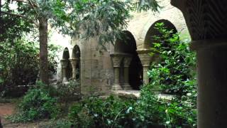 MONESTIR DE SANT BENET DviX HD MKV