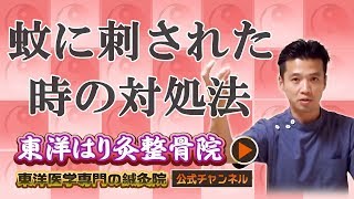 蚊に刺された時の対処法とは？「東洋医学専門 町田の鍼灸院」