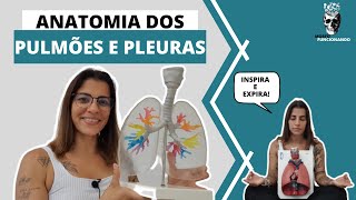 ANATOMIA DOS PULMÕES E PLEURAS - VIAS AÉREAS INFERIORES #6