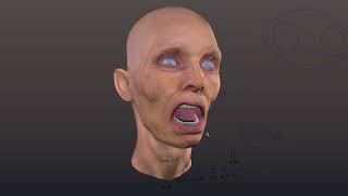 Facial Rig Showcase