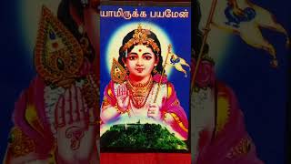 திருமுருகாற்றுப்படை l 1. வரு முருகாற்று  l அருணகிரிநாதர் l  தேனம்மைலெக்ஷ்மணன்