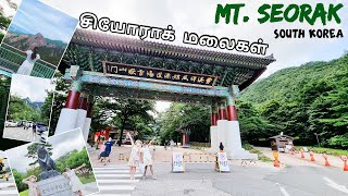 Sokcho | Largest Mountain in Korea - Tamil Vlog | Episode 6 | Arun and Dikshi