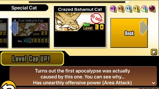 battle cats: upgrading my crazed bahamut cat to level 30