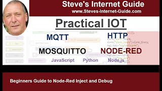 Beginners Guide to Node-Red Inject and Debug Nodes